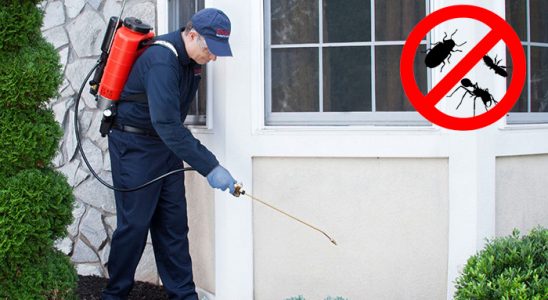 Nallıhan Bit İlaçlama böcek ilaçlama ve haşere kontrolü — ilaclama-tr.com